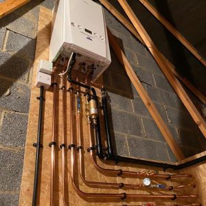 WhatsApp Image 2025-09-12 at 11.32.29 AM (1)